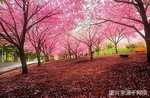 http://wx.4000500521.com//upimg/seot/t20161219142324159.jpg