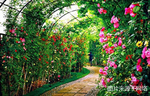 http://wx.4000500521.com//upimg/seot/t20161219154823264.jpg